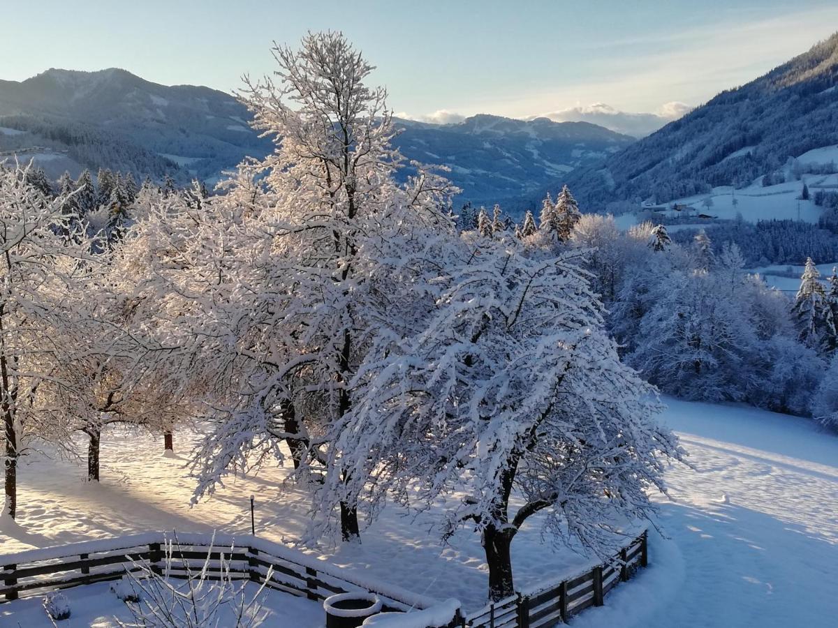 Апартаменти Bio-Bauernhof Einberghof Пфаррверфен Екстер'єр фото
