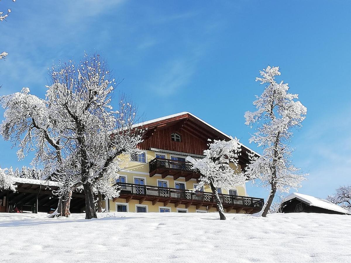 Апартаменти Bio-Bauernhof Einberghof Пфаррверфен Екстер'єр фото